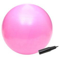 에바핏 PVC 요가 짐볼 + 핸드펌프, 핑크 스포츠/레저/홈트레이닝 반품 최저가 12,500원