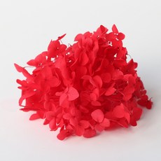 로맨틱노벰버 프리저브드 플라워 수국, 레드 홈인테리어/원예/가드닝 반품 최저가 4,420원