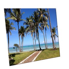 에이치티피 데코 타일, C2477 잔지바르의야자수, 1개 홈인테리어/욕실용품 반품 최저가 2,490원