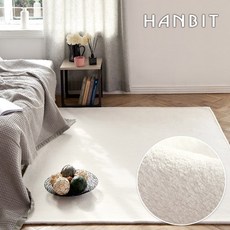 한빛카페트 에센셜 극세사 사각 러그 홈인테리어/카페트/쿠션 반품 최저가 21,900원
