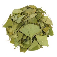 신선약초 은행잎, 300g, 1개입, 1개 undefined/undefined 반품 최저가 7,720원