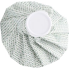 담비 얼음주머니 대 26.5cm, 1개 생활용품/생활잡화 반품 최저가 2,710원