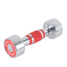 스포뱅크 고밀도 크롬도금아령, 1.5kg, 1개 헬스/건강식품/홈트레이닝 반품 최저가 8,300원