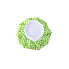 얼음 찜질팩 체크그린 대 8 x 27 cm, 1개 생활용품/생활잡화 반품 최저가 2,910원