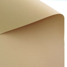 색상지 베이지 T19 135g, 20개 문구/오피스/학용품/수업준비 반품 최저가 4,510원