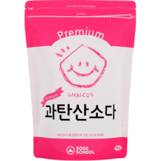 소다스쿨 프리미엄 과탄산소다, 1kg, 1개 생활용품/표백제 반품 최저가 5,850원