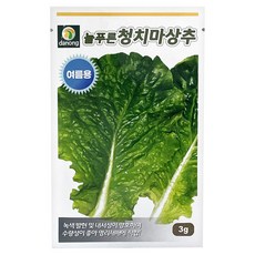 다농 늘푸른 청치마 상추 씨앗 3g, 1개 홈인테리어/원예/가드닝 반품 최저가 2,420원