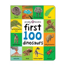 First 100: Dinosaurs, 프리디북스 출산/유아동/유아동도서 반품 최저가 4,060원