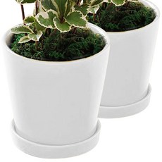 행복한세상 원형화분 2입 세트, 화이트, 1개 홈인테리어/원예/가드닝 반품 최저가 5,490원