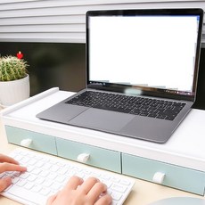 디오셀 3칸 수납 데스크 톱 모니터받침대, 그린 문구/오피스/사무용품 전문관 반품 최저가 24,320원