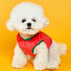 도그아이 강아지 후르츠 베스트, 딸기, 1개 반려동물용품/고양이 용품 반품 최저가 3,130원