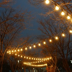 스트링월드 스트링 라이트 줄조명 20M 20소켓 + LED전구 3W 20p 주광색 세트, 블랙(전선), 1개 홈인테리어/조명/스탠드 반품 최저가 71,440원