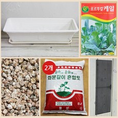 행복한세상 텃밭가꾸기 대 화이트 케일, 1개 홈인테리어/원예/가드닝 반품 최저가 8,510원