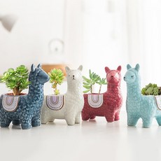 morningscent 알파카 도자기 화분 A타입, 화이트, 1개 홈인테리어/원예/가드닝 반품 최저가 7,890원