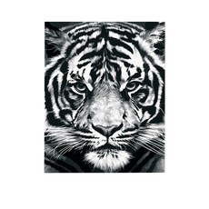 마리츠센 배전함 가리개 인테리어 호랑이 유화 그림 그리기 DIY 세트 라지 750 x 600 x 40 mm, 혼합색상, 1개 문구/오피스/미술/화방용품 반품 최저가 8,250원