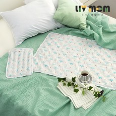 리브맘 양면 쿨매트 2종 세트, 선인장, 쿨매트+쿨베개 세트 홈인테리어/침구 반품 최저가 17,400원