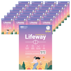 라이프웨이 새부리형 보건용 황사방역 마스크 대형 KF94, 1개입, 50개, 블랙 헬스/건강식품/건강/의료용품 반품 최저가 13,750원