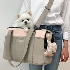 펫츠랜드 반려동물 컴포어 이동 가방, 블루그레이, 1개 반려동물용품/펫티켓 산책용품 반품 최저가 26,520원
