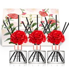 코코도르 카네이션 디퓨저 120ml 3종 + 리드스틱 15p 세트, B호(프렌치라벤더+양재동꽃시장+디어카네이션) 생활용품/탈취/방향/살충 반품 최저가 16,420원