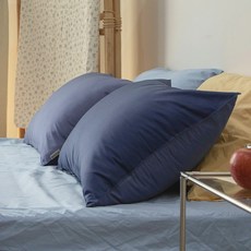 바자르 보들보들 렌징모달 베개커버 + 솜, 네이비, 1개 홈인테리어/침구 반품 최저가 20,470원