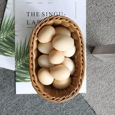 달빛마켓 내츄럴 타원형 납작 진열 라탄바구니 바스켓, 1개 홈인테리어/수납/정리 반품 최저가 4,720원