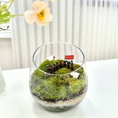 만나앤미 비단 이끼 테라리움 DIY 키트 양치는언덕 + 미니어쳐 랜덤발송, 1개 홈인테리어/식물/나무 반품 최저가 33,430원
