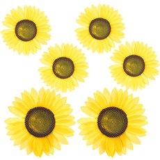 파티쇼 응원 해바라기 모형 장갑 6p, 혼합색상, 6개 스포츠/레저/구기스포츠 반품 최저가 7,000원