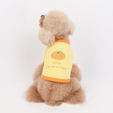 파스텔펫 반려동물 후르츠 나그랑 티셔츠, 오렌지, 1개 반려동물용품/고양이 용품 반품 최저가 11,310원