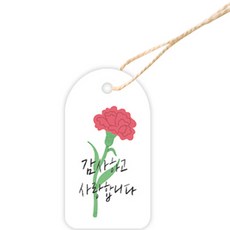 도나앤데코 선물포장 종이 태그 + 면 끈 세트 카네이션, 100세트, 화이트 문구/오피스/데코/포장용품 반품 최저가 11,240원