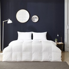구스앤홈 벰베르그 구스다운 이불속통 사계절용, 화이트 홈인테리어/침구 반품 최저가 158,230원