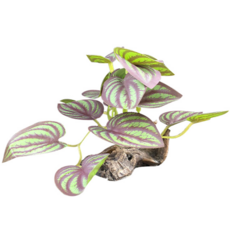 아쿠아비 맹그로브 인조 유목 수초 426D-15, 1개 반려동물용품/관상어 용품 반품 최저가 5,400원