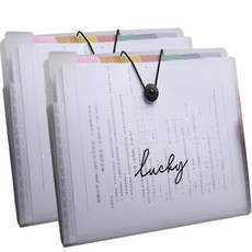 씨티 도큐먼트 파일 보관함 8칸, 럭키, 2개 문구/오피스/사무용품 전문관 반품 최저가 7,460원