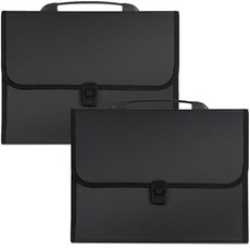 라이프투비 13분류 파일 핸들백, 2개, 블랙 문구/오피스/사무용품 전문관 반품 최저가 12,220원