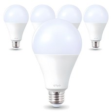 씨티오 LED 화이트 전구 20W, 주광색, 5개 홈인테리어/셀프인테리어 반품 최저가 9,990원