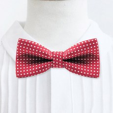 베이비맥스 남아용 도트 보타이 8091 출산/유아동/유아동패션 반품 최저가 4,110원