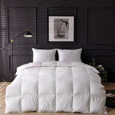 구스앤홈 세미마이크로 구스 속통 사계절용 이불 PG70, 화이트 홈인테리어/침구 반품 최저가 193,180원