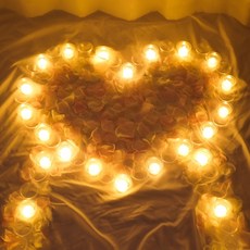 데이지룸 미니초 24개 + 꽃잎 세트 홈인테리어/조명/스탠드 반품 최저가 14,340원