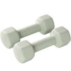 앳플리 LW 미용 아령, 3kg, 2개 헬스/건강식품/헬스/요가용품 반품 최저가 24,940원