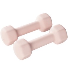 앳플리 LW 미용 아령, 2kg, 2개 헬스/건강식품/헬스/요가용품 반품 최저가 16,630원