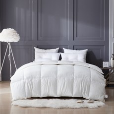 구스앤홈 구스온 마이크로 모달 폴란드 구스다운 PG90 600g, 화이트 홈인테리어/침구 반품 최저가 224,700원