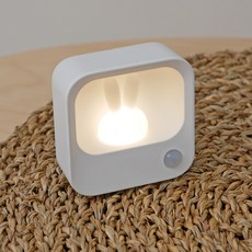 넥스트유 동작 감지 토끼 LED 고리형 무선 센서등, 혼합색상, 1개 홈인테리어/조명/스탠드 반품 최저가 11,230원