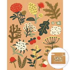 아트조이 DIY 명화그리기 식물 집사의 노트 A 40 x 50 cm, 페일오렌지, 1개 문구/오피스/미술/화방용품 반품 최저가 13,060원