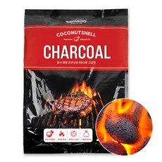 탐사 코코넛 차콜 브리켓, 2kg, 1개 스포츠/레저/캠핑전문관 반품 최저가 8,630원