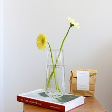 하루의공간 엠버 유리 화병, 투명 완구_취미/수집품 반품 최저가 8,540원