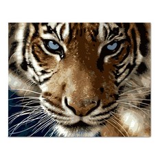 아디코 DIY 페인팅 호랑이 PEE43 50 x 40 cm, 단품, 1개 문구/오피스/미술/화방용품 반품 최저가 12,880원