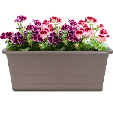 화분월드 다용도 모던박스 800 화분, 체스트넛, 1개 홈인테리어/원예/가드닝 반품 최저가 25,940원