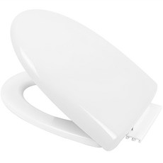 씨에스지 브리즈 프리미엄 무소음 일반 하드형 변기커버, 화이트, 1개 undefined/undefined 반품 최저가 11,920원