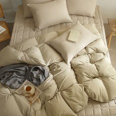 라셀렌 빌리프 거위털 헝가리 90 구스다운 차렵이불 400g, 크림오트밀 홈인테리어/침구 반품 최저가 223,440원