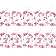 올레비엔 옷장 사쉐 종이방향제 본품 트루러브 향, 10g, 10개, 트루러브향 생활용품/방향제 반품 최저가 9,200원