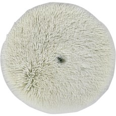 이엑스큐 멀티퍼포즈 울패드 6 낱개, DA9012 자동차용품/세차/카케어 반품 최저가 12,980원